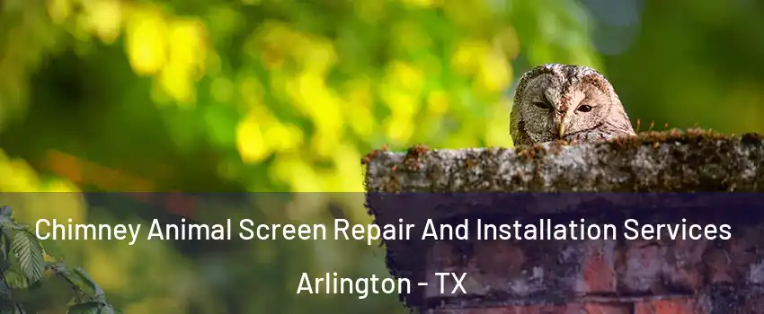  Chimney Animal Screen Repair And Installation Services Arlington - TX