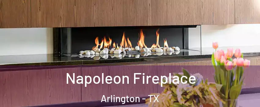  Napoleon Fireplace Arlington - TX