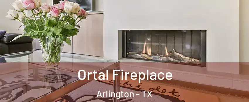  Ortal Fireplace Arlington - TX